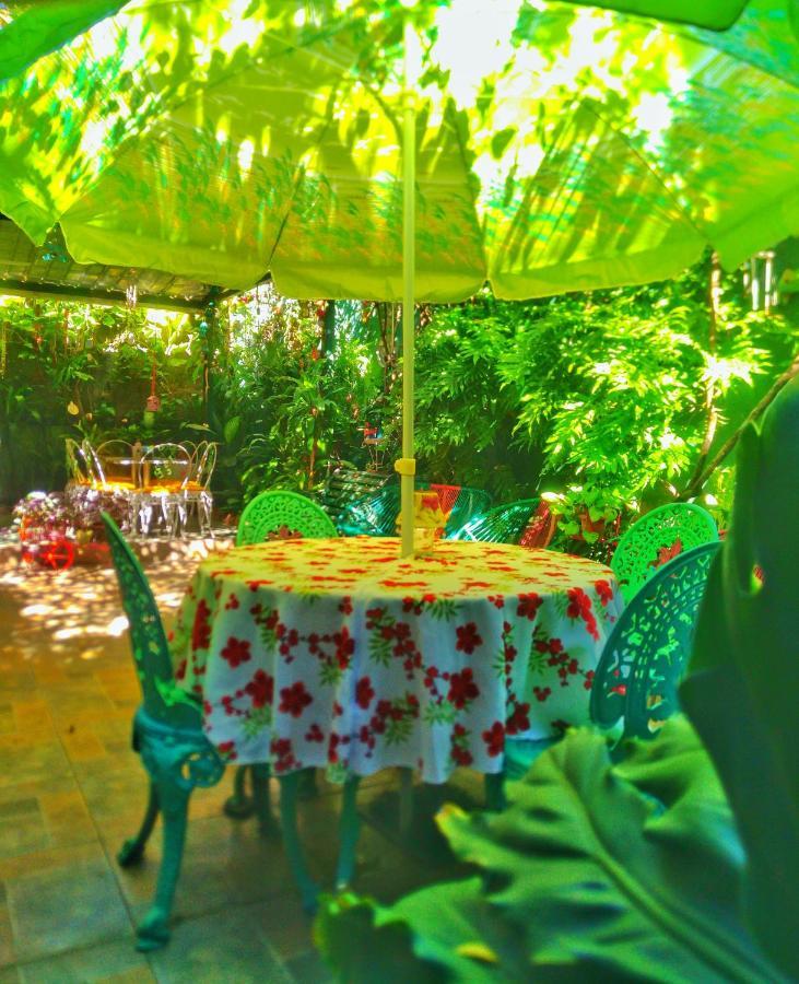 Hotel Oasis San Salvador Ngoại thất bức ảnh